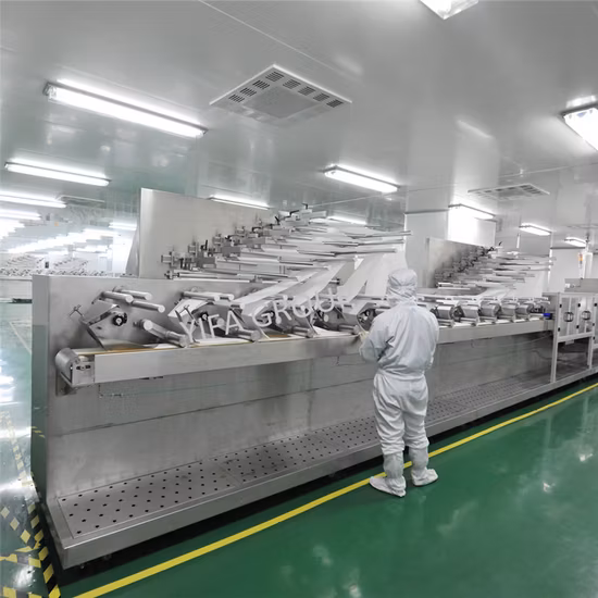 Palmlove の最高の無香料個別抗菌大人用水に流せるウェットワイプ